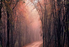 开云：2021上海海港亞冠聯賽名單.