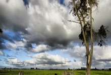 开云：中國足壇歷史絕無僅有！中超球隊賽前棄權或致爭冠陷尷尬局面.